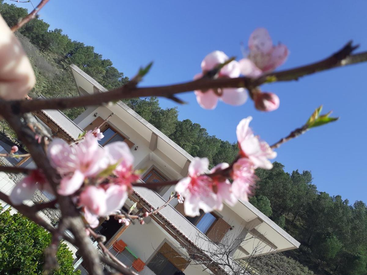 Kanushi House Gjirokaster Ngoại thất bức ảnh