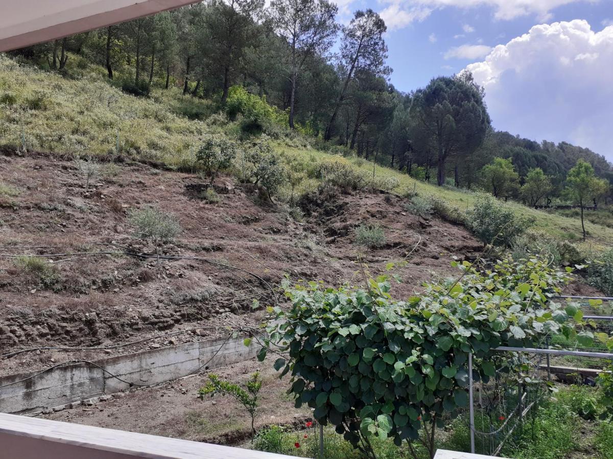 Kanushi House Gjirokaster Ngoại thất bức ảnh